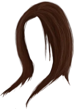 a drawing of a woman's hair