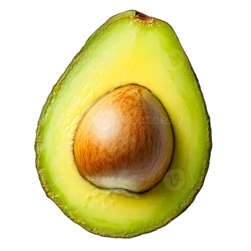 an avoca on a white background