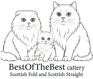 best catteryy logo