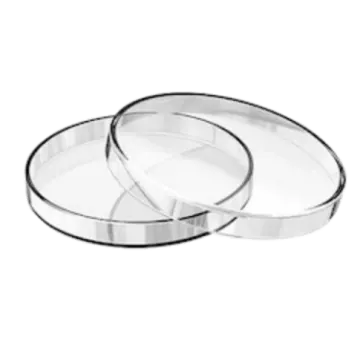a pair of clear glass plates