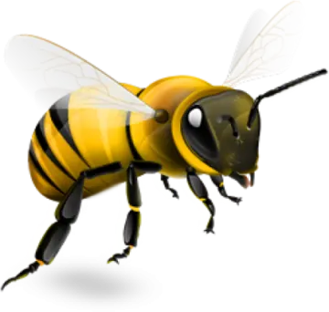 a bee on a white background