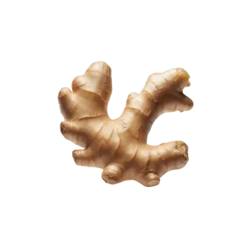 a piece of ginger on a white background
