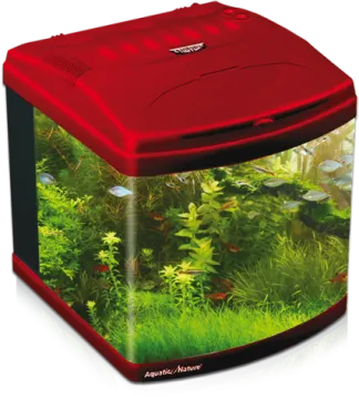 a red fish tank filled with water and plants