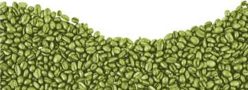 a pile of green coffee beans