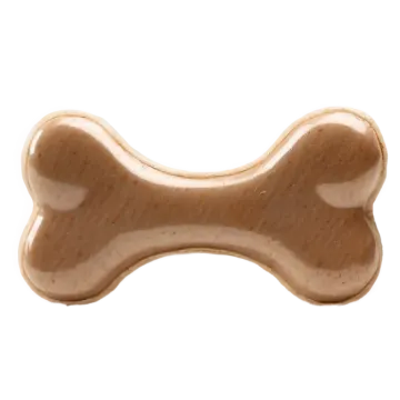 An image of a bone