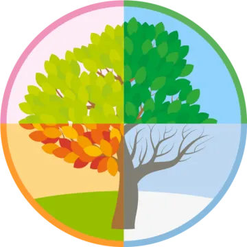 a tree in the center of a circle