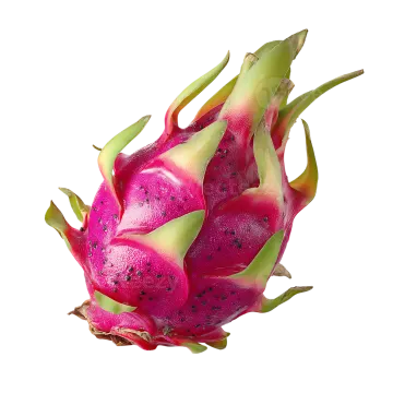 dragon fruit on a white background