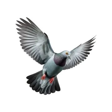 a bird with its wings spread in the air