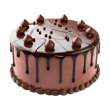 a chocolate covered cake on a white background