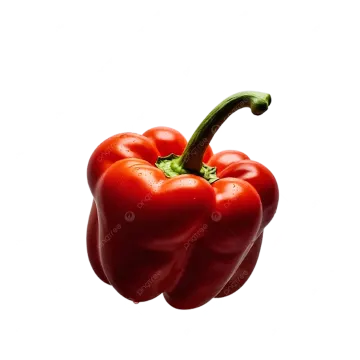 a red pepper on a white background