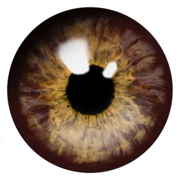 a close up view of a human eye