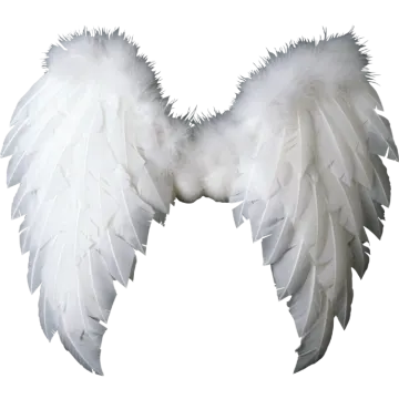 two white wings on a white background