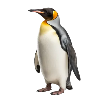a penguin standing on top of a white surface
