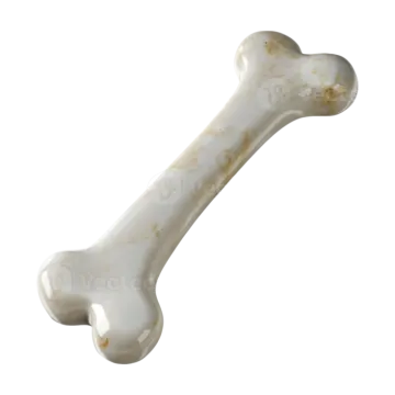 A bone on a white background