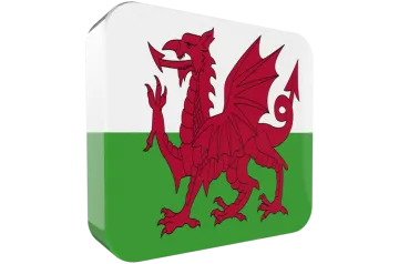 the flag of wales with a dragon on it