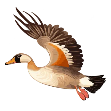 a goose flying with its wings spread
