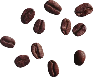 coffee beans on a white background