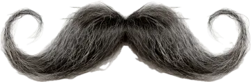 a black and white mustache on a white background