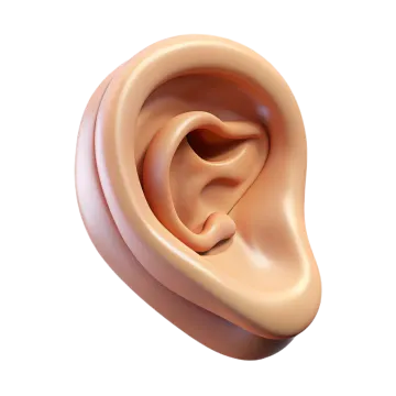 an ear is shown in the shape of a human