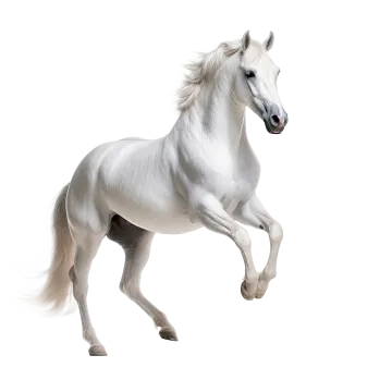 a white horse running on a white background