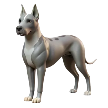 a gray and white dog standing on a white background