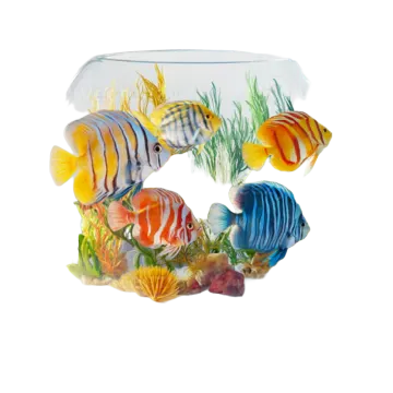 a fish bowl filled with colorful tropical fish
