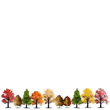 a row of trees with autumn leaves