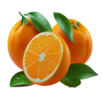 two oranges with leaves on a white background