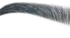 a close up of an eyelash on a white background