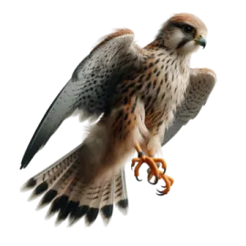 a bird that is flying in the air