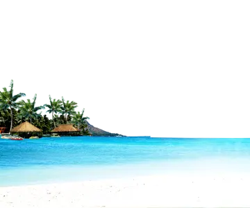 a white sandy beach