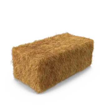 a hay bale on a white background