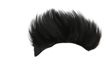 a drawing of a man's hair