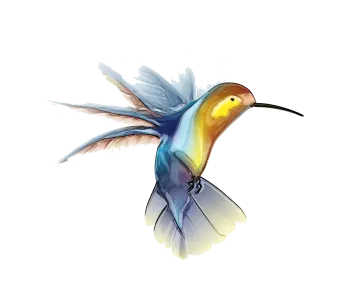 a watercolor painting of a humming bird