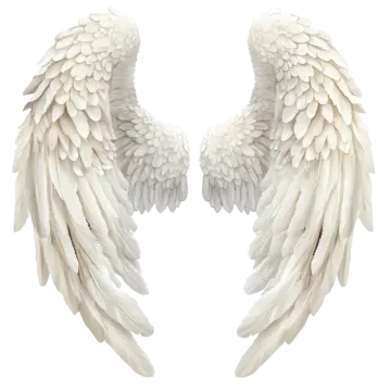 two white wings on a white background