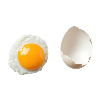 an egg and a broken egg on a white background