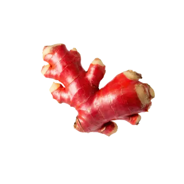 a close up of two red gingers on white background