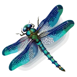 a blue and green dragonfly on a white background
