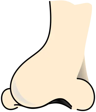 a pair of feet clipart