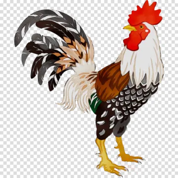 a rooster standing on its hinds clipart