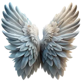 an image of a white and blue wing