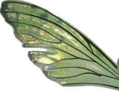 a green fairy wing with black and white stripes