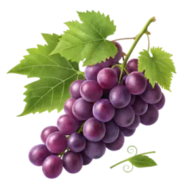 a bunch of grapes with green leaves