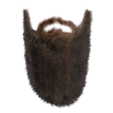 a close up of a beard on a white background