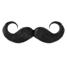 a black mustache on a white background
