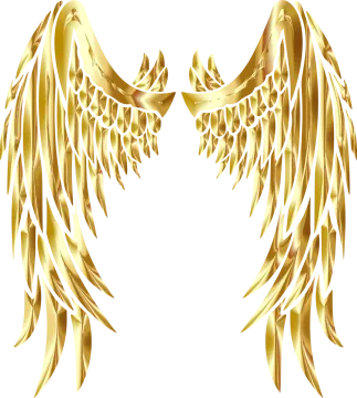 a pair of gold angel wings