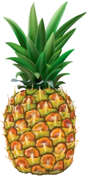 a pine fruit with green leaves on top