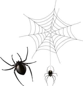 a spider and a black widow spider