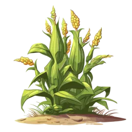 a corn plant with yellow flowers