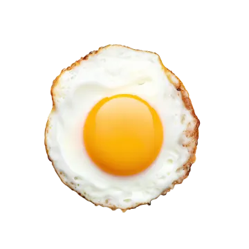 a fried egg on a piece of toasted bread
